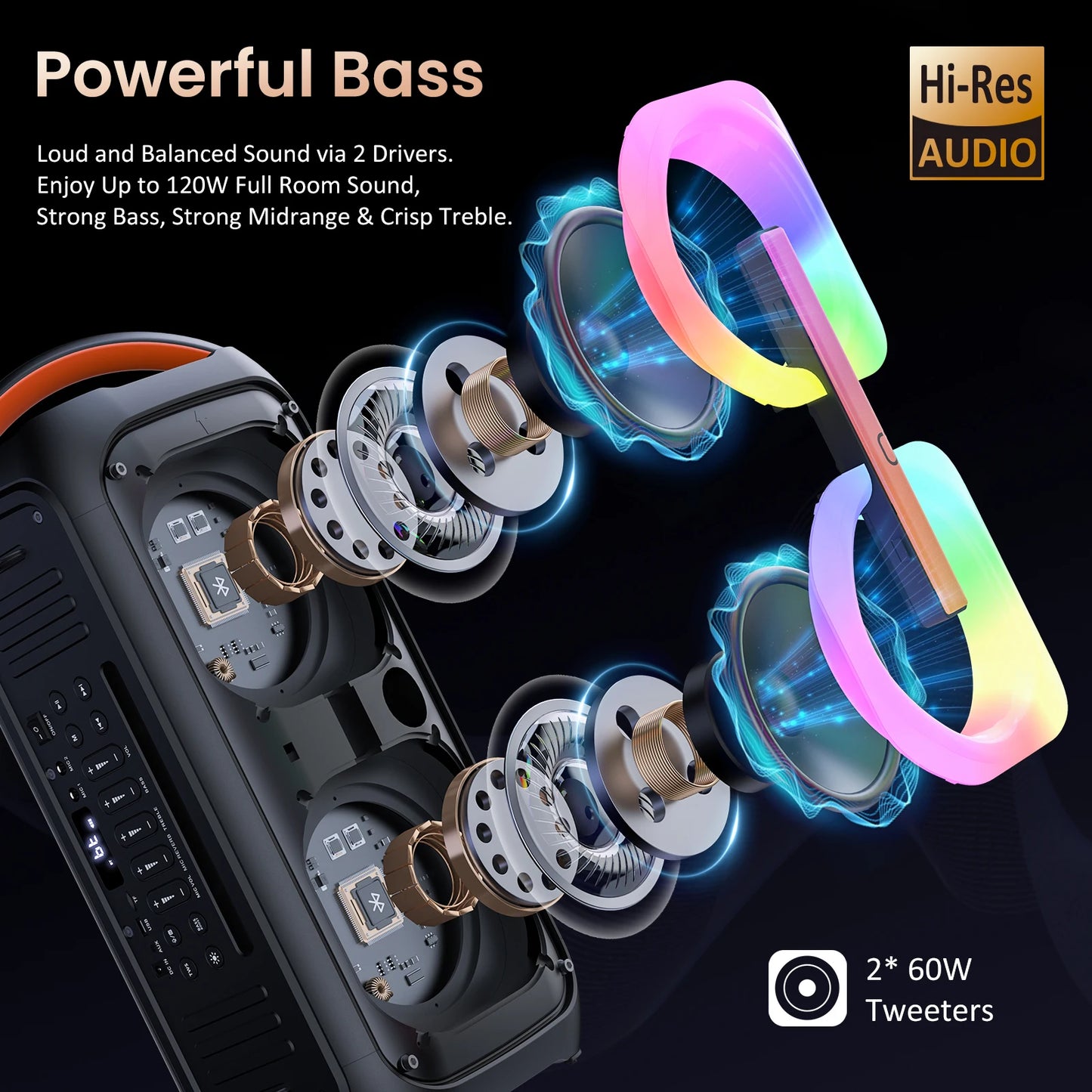 Karaoke Machine with 2 Wireless Microphones