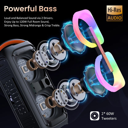 Karaoke Machine with 2 Wireless Microphones